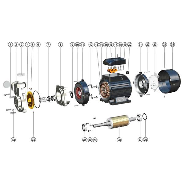 High Pressure Vortex Pump Exploded View