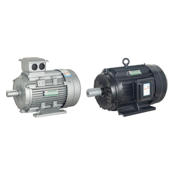 YE4 Series Three Phase Induction Motors